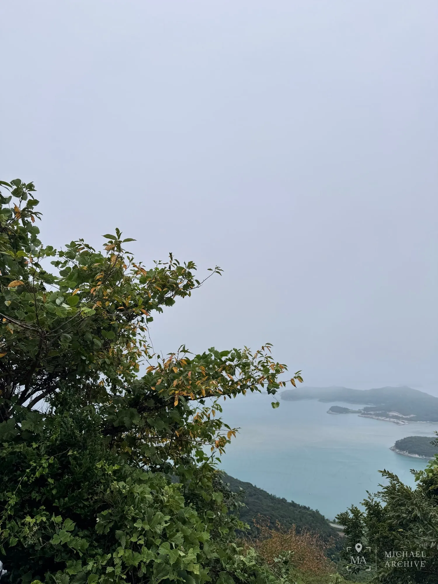 올라가는 길, 나무 사이로 보이기 시작하는 바다