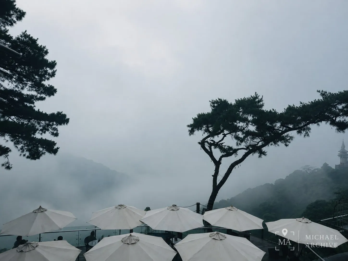 흰 파라솔 뒤로 안개만 가득한 테라스, 가운데 소나무 한 그루