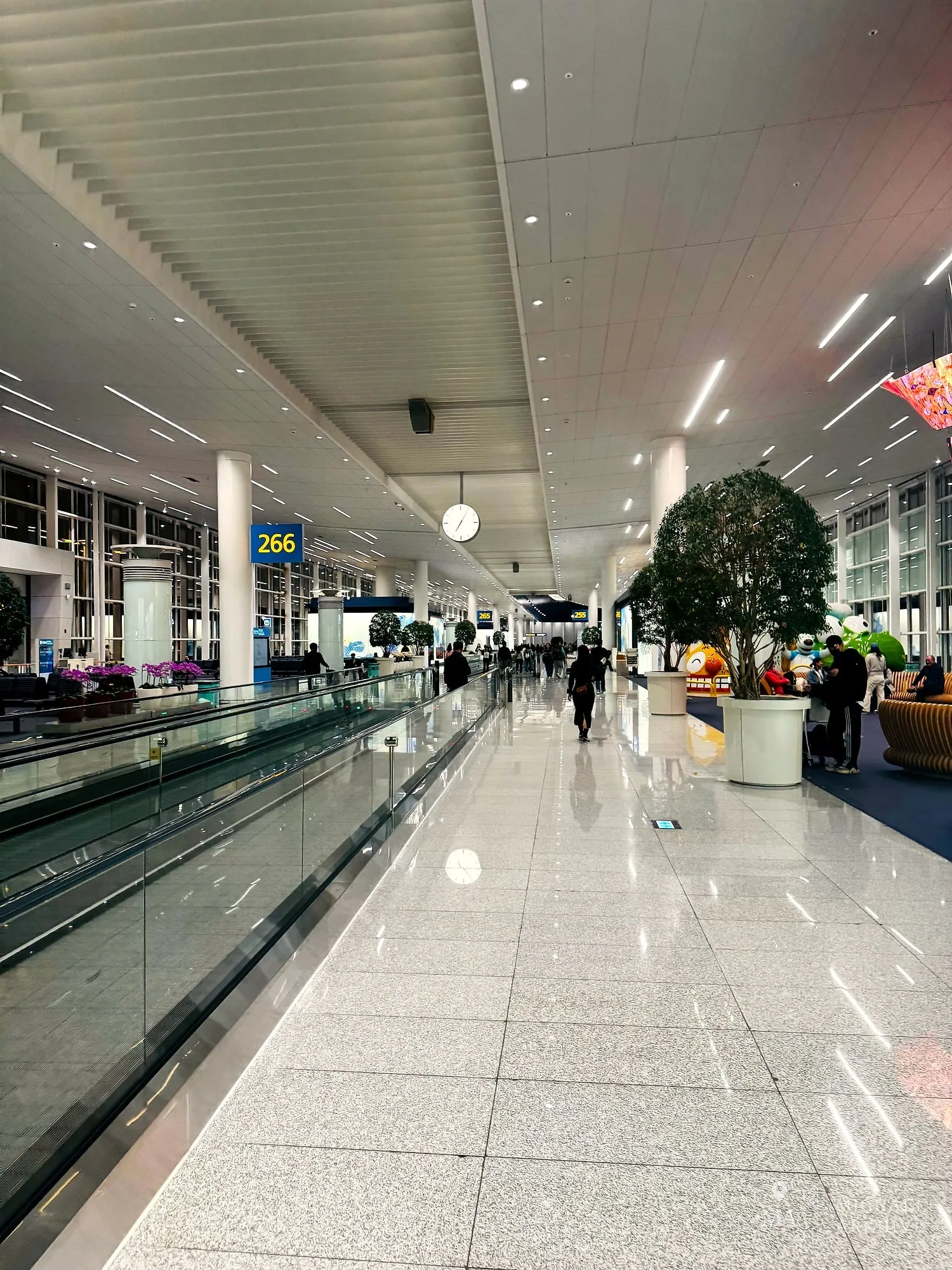 인천공항 탑승동 무빙워크. 266번 게이트 방향 안내가 보인다