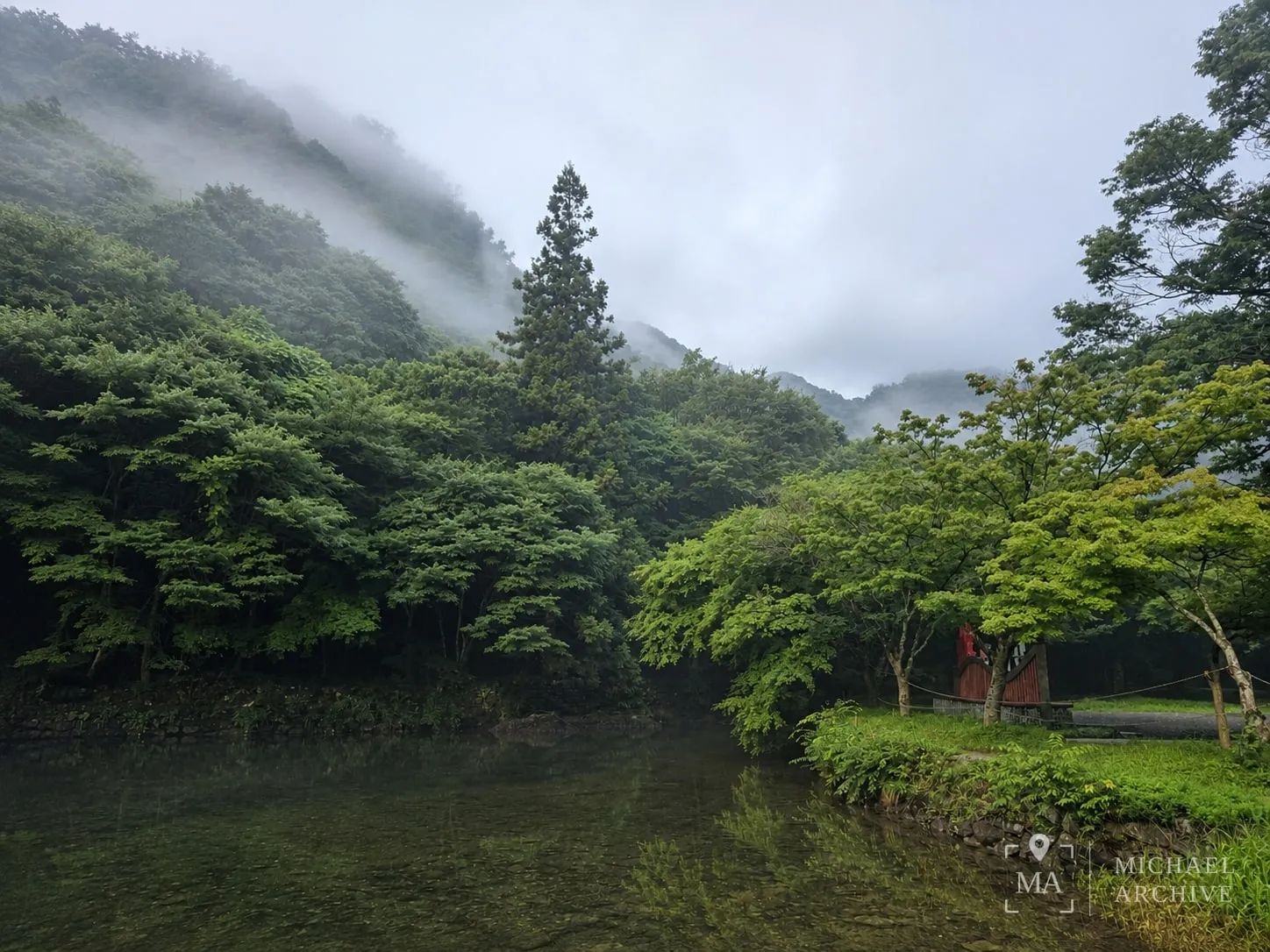 연못 건너편 산에 걸린 안개
