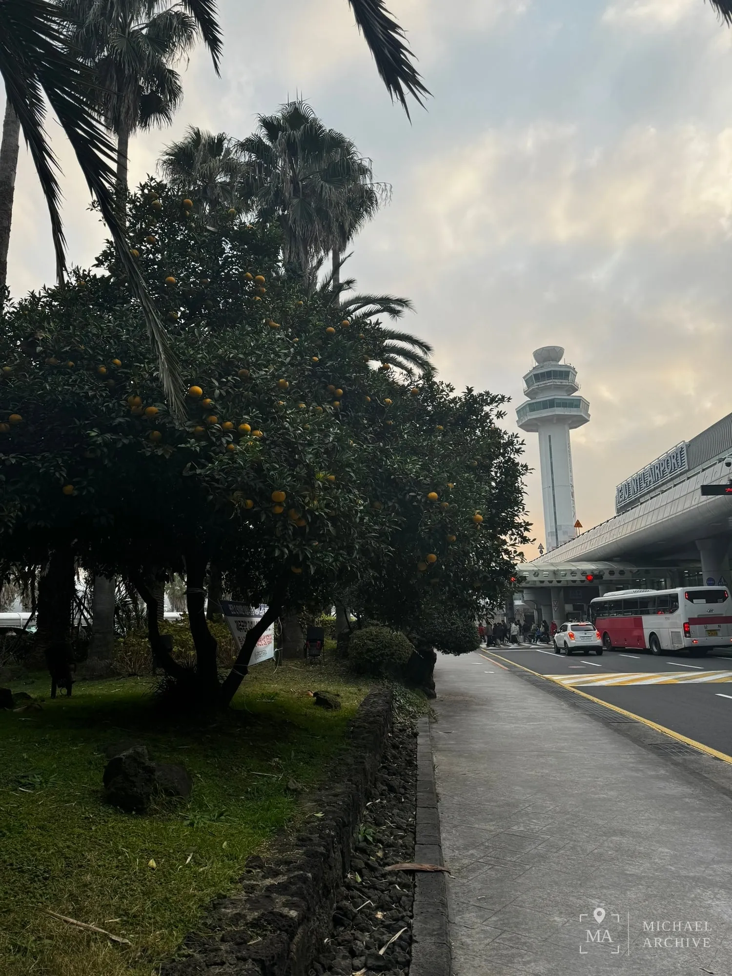 제주국제공항 — 관제탑과 감귤나무